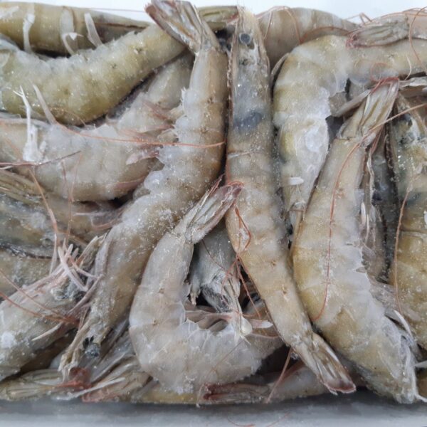Frozen Raw Shrimp Block (2kg)